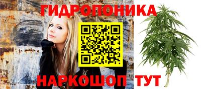ешки Лесосибирск