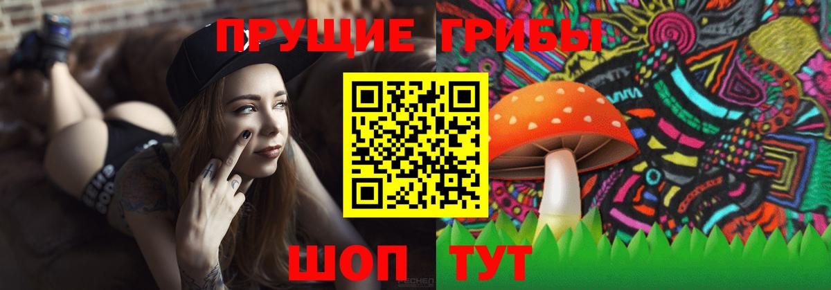 Псилоцибиновые грибы Cubensis Клин